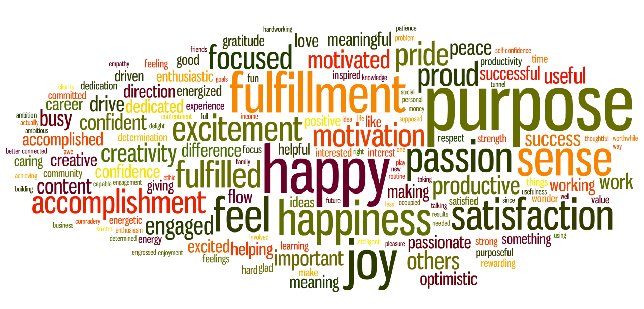 How Do We Experience Connection to Work? Purpose Project, Inc.